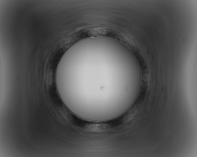 X0000086310323200704131637