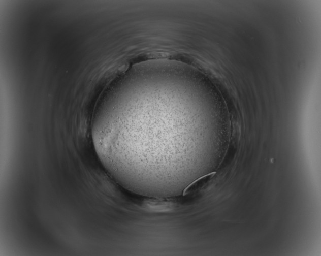 X0000086310331200704131637