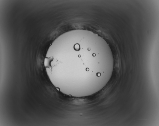 X0000086310332200704131637