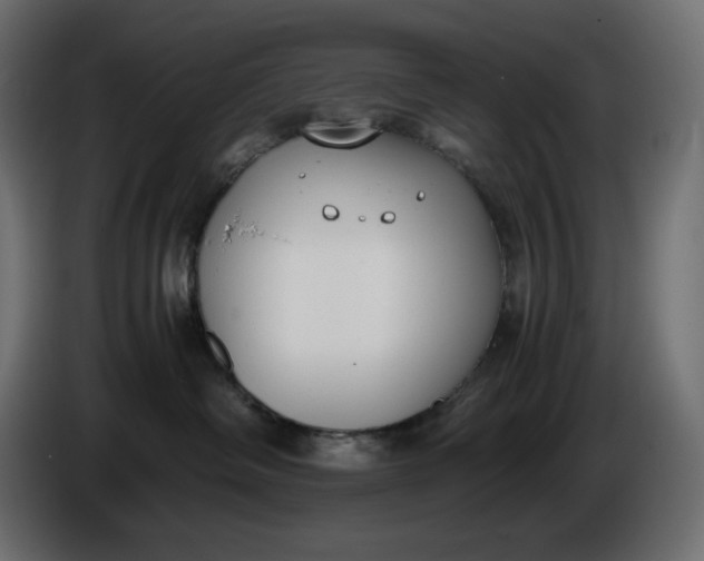 X0000086310334200704131637