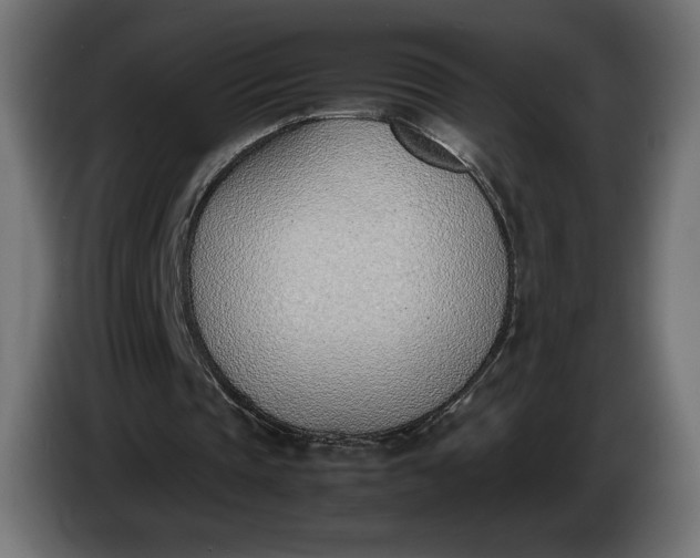 X0000086310337200704131636