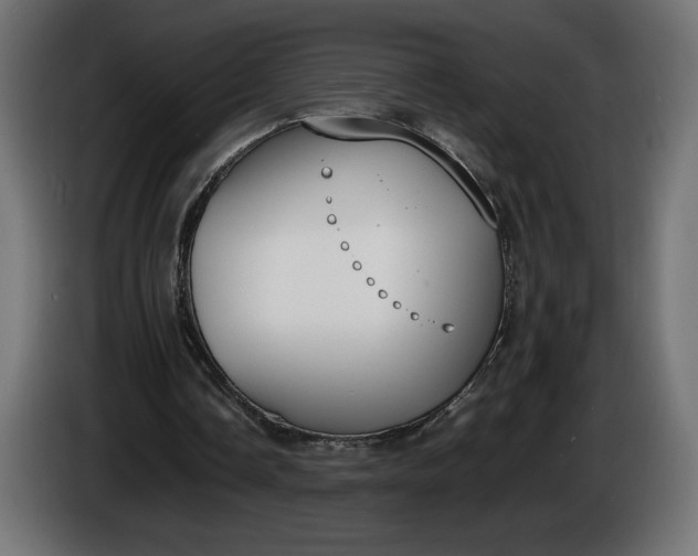 X0000086310338200704131636