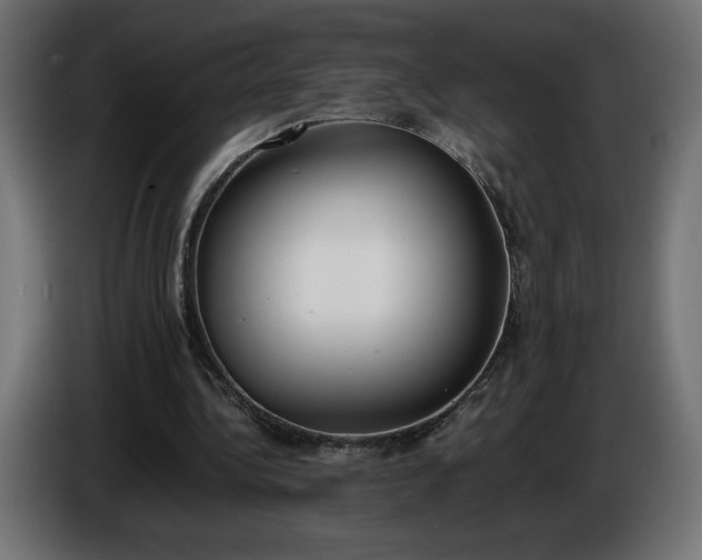 X0000086310340200704131636