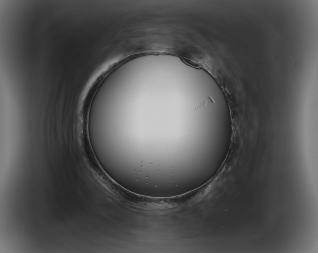 X0000086310342200704131636