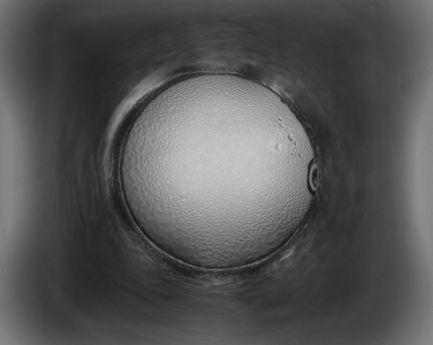 X0000086310343200704131636