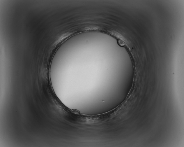 X0000086310345200704131636
