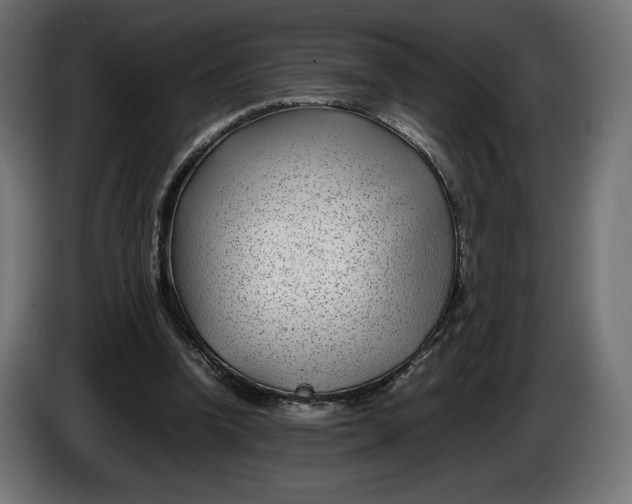 X0000086310346200704131636
