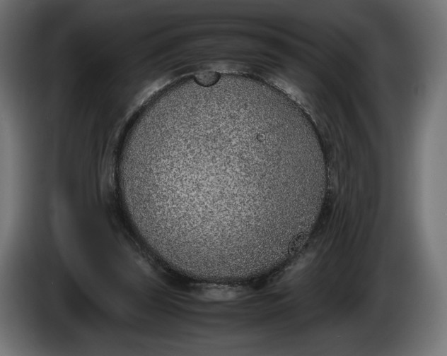X0000086310347200704131636