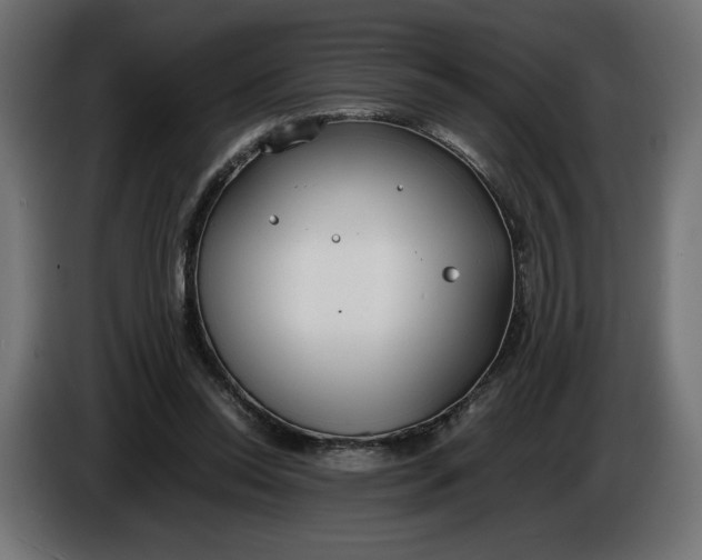X0000086310350200704131636