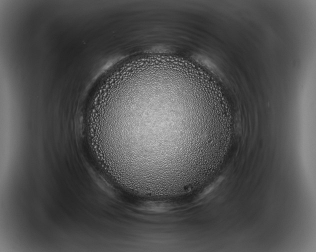 X0000086310351200704131636