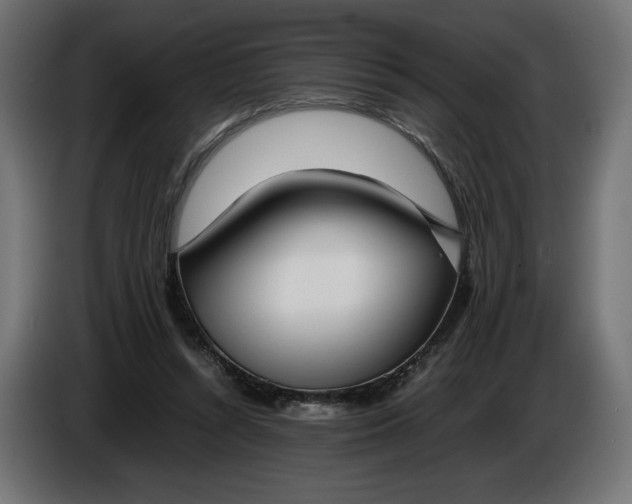 X0000086310352200704131636
