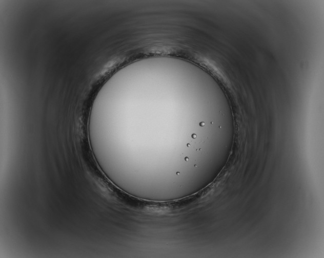 X0000086310354200704131636