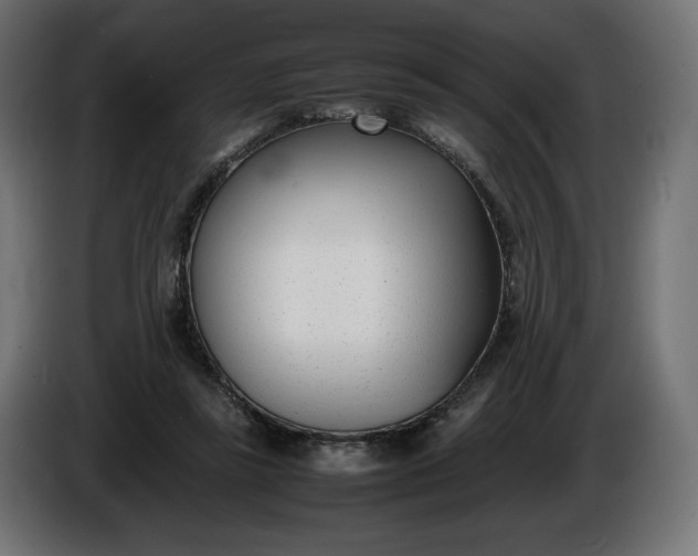 X0000086310355200704131636