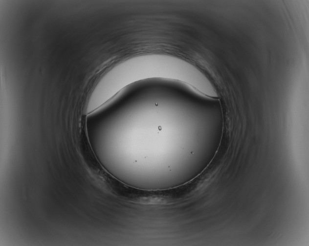 X0000086310356200704131636