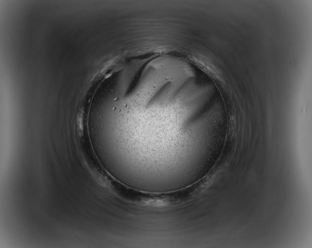 X0000086310358200704131636