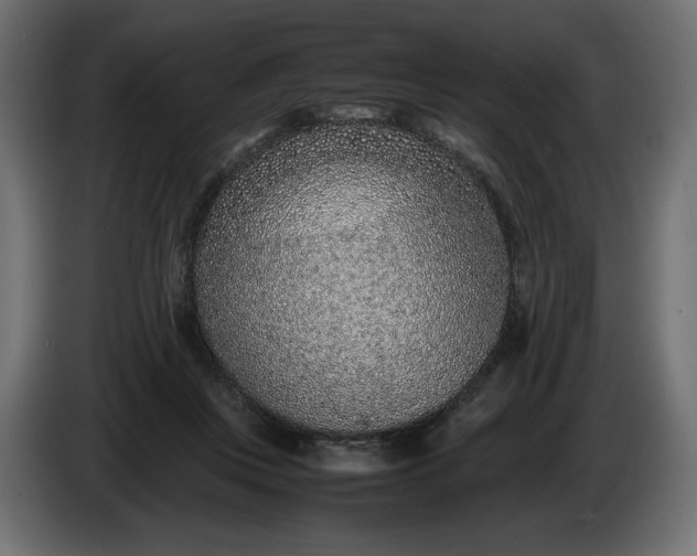 X0000086310359200704131636