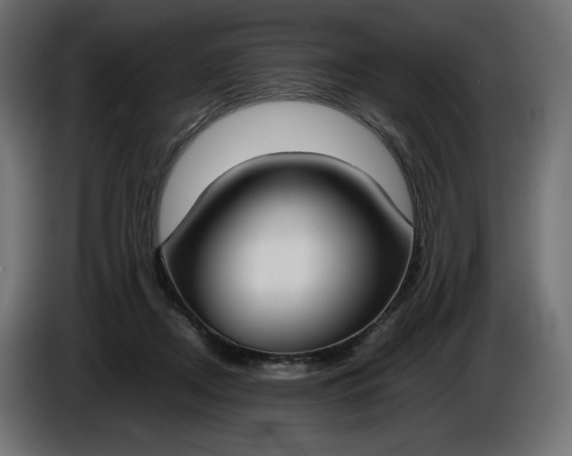X0000086310362200704131636