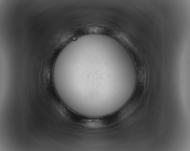 X0000086310363200704131636
