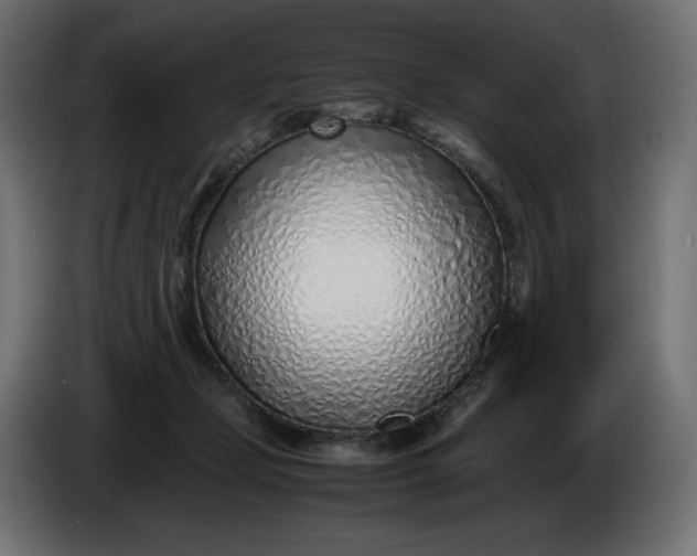 X0000086310365200704131636