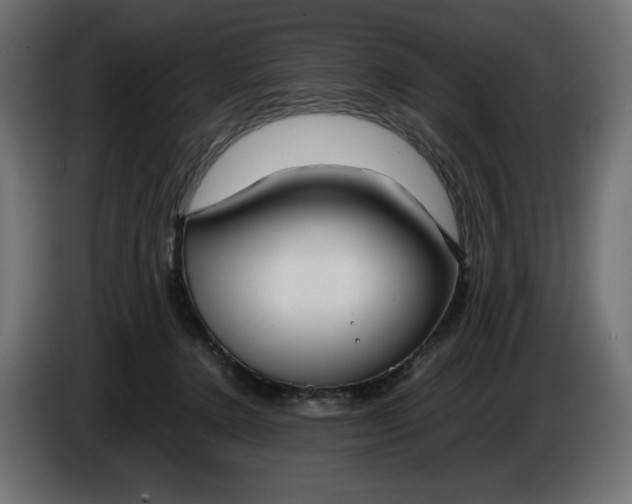 X0000086310368200704131637