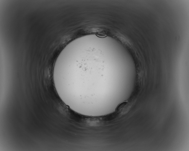 X0000086310373200704131637