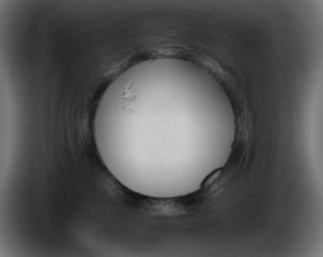 X0000086310377200704131637
