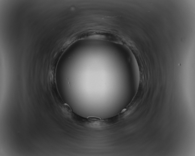 X0000086310382200704131637