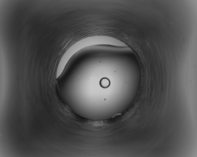 X0000086310384200704131637