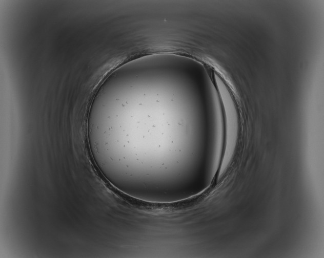 X0000086310385200704131636