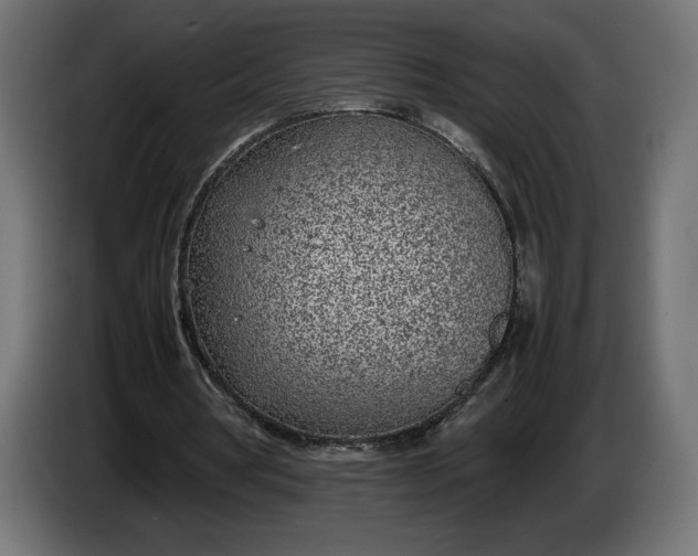 X0000086310386200704131636