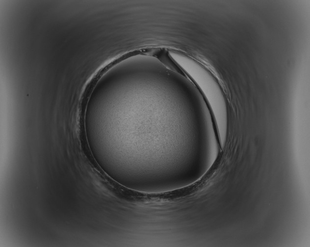 X0000086310387200704131636