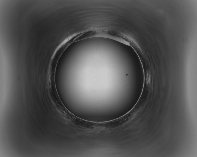 X0000086310388200704131636