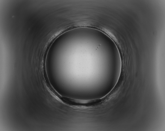 X0000086310389200704131636
