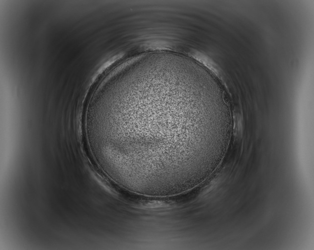 X0000086310390200704131636