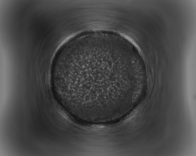 X0000086310391200704131636
