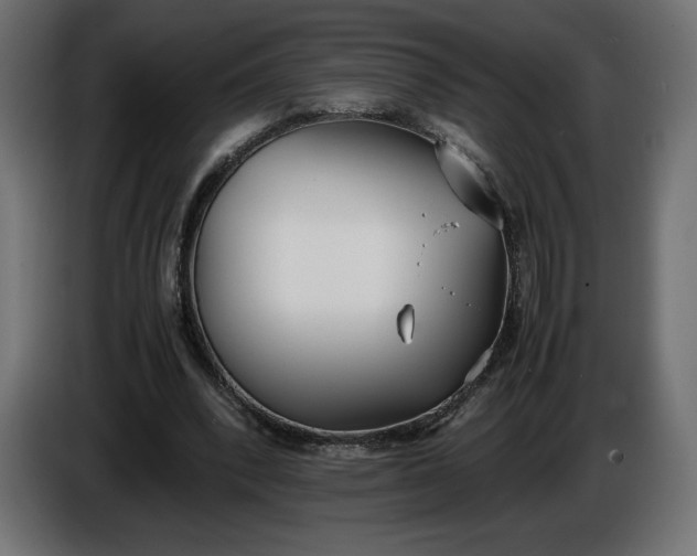 X0000086310392200704131636