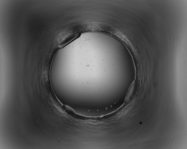 X0000086310393200704131636
