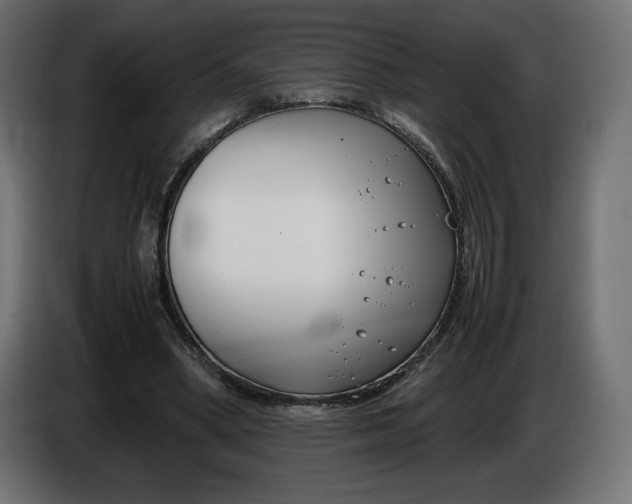 X0000086310394200704131636