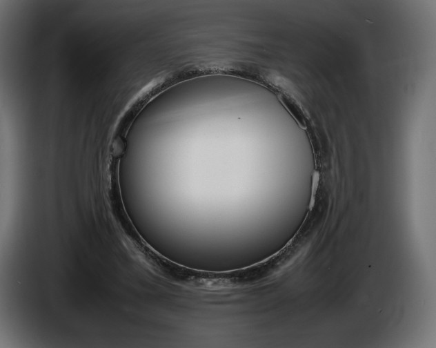 X0000086310395200704131636