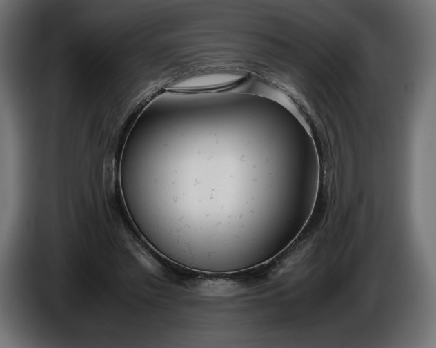 X0000086310397200704131636