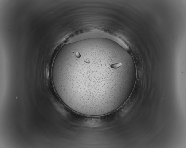 X0000086310398200704131636