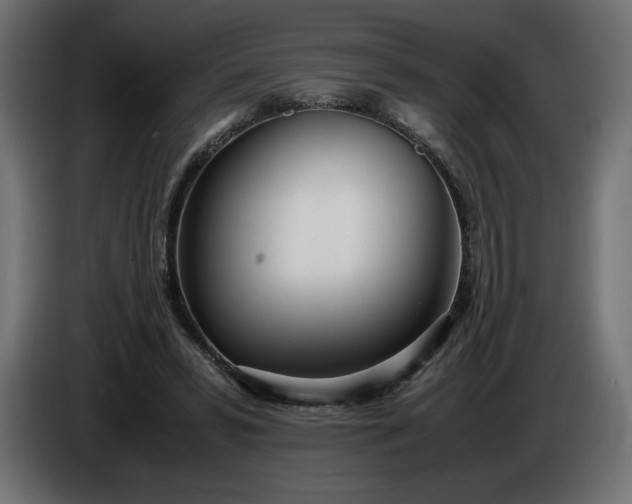 X0000086310399200704131636