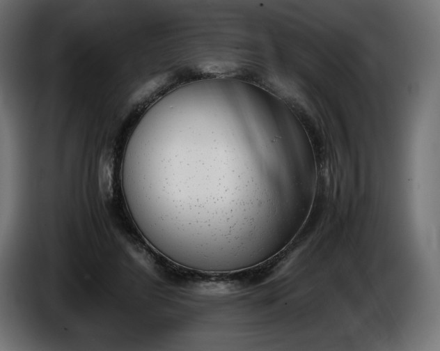 X0000086310404200704131636