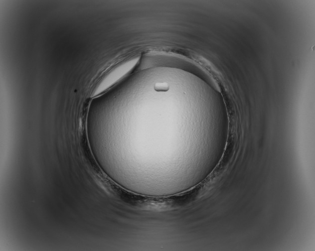 X0000086310405200704131636