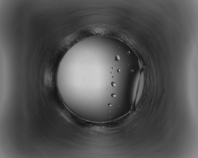 X0000086310408200704131636