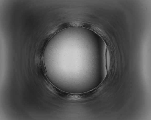 X0000086310409200704131636