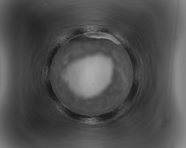 X0000086310411200704131636