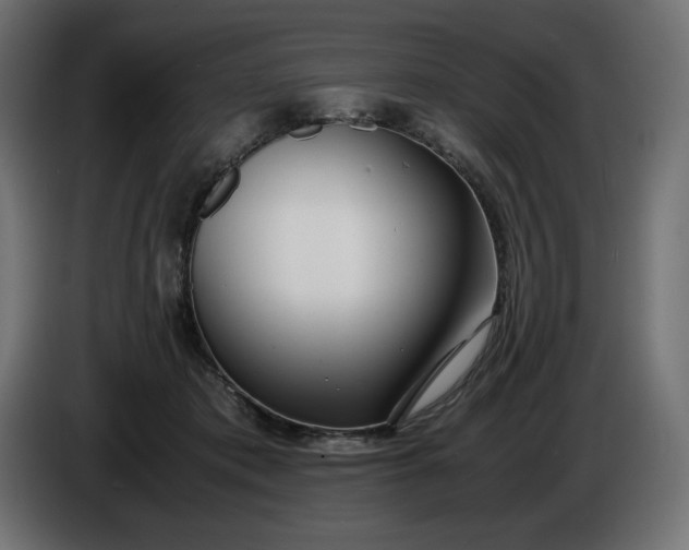 X0000086310413200704131636