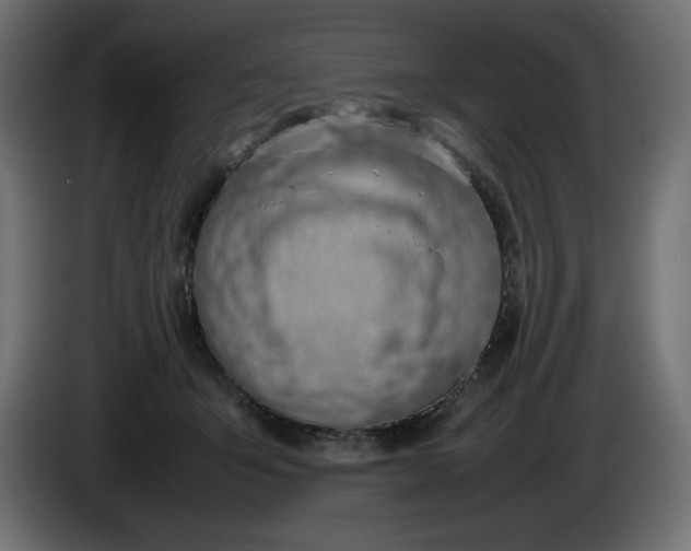 X0000086310415200704131636