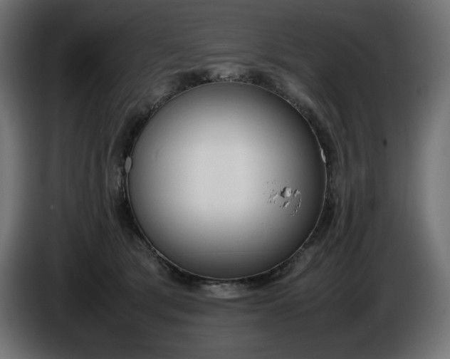 X0000086310417200704131636